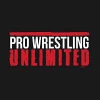 Pro Wrestling Unlimited